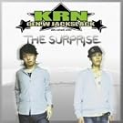 THE SURPRISE