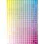 1000000000000 [DVD]