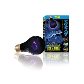 �G�L�]�e���@�i�C�g�O���[���[�����C�g�����v50w
