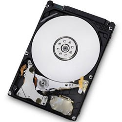 HGST Travelstar 750GB