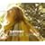 Orange canvas~�H�̋�̂�����~/Fairy�fs stick