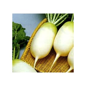 ���눤[�卪]�y�^�l�z����