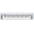 YAMAHA �|�[�^�u���O�����h NP-30S