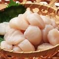 SHUEI �k�C���Y �z�^�e�L�� ���h�g�p�㎿��i 500g