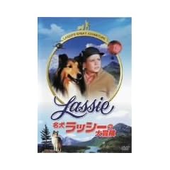 �������b�V�[�̑�`�� [DVD]