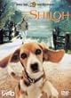 �r�[�O���� �V���C�� ���ʔ� [DVD]