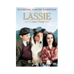 �������b�V�[/�ƘH [DVD]