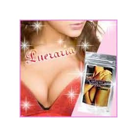 �v�G�����A�~���t�B�J�P�O�O�@���ʃ��j�^�[�p�b�N