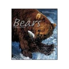 Bears (Art of Being...)