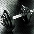 �_���x���Z�b�g�@�A�C�A��60kg