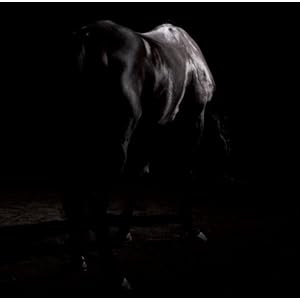 【クリックでお店のこの商品のページへ】嘆きのエンドレス(DVD付) [Single， CD＋DVD， Maxi]