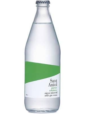 Sant Aniol(サンタニオール) 微発泡炭酸水 500ml 瓶×20本