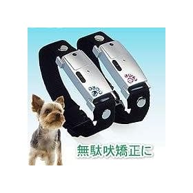 ���u���[�����E�v�` �u���[ 32365