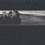 The Joshua Tree