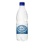 (�����p�{�b�N�X)  ���P�b�^ �u���I�u���[ �X�p�[�N�����O 500ml�~24