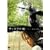 �`�F�I�N�̌� Vol.1 [DVD]