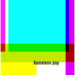�J�����I���E�|�b�v