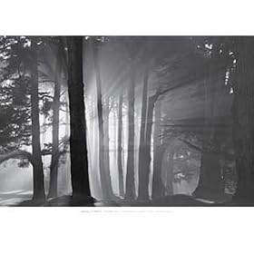 �|�X�^�[ �}�[�N �V�g���b�g Morning Harding Park San Francisco 2002