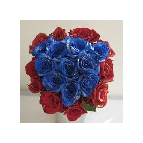 �u���[�h���[���@���o���ƐԂ��o���̃�������ԑ��@10�{�y���ԁz�y���j���z�y�L�O���z�y�a�����z�y�t�����[�M�t�g�z�y�o���z