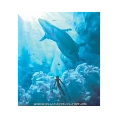 ��6�� DVD COLLECTION Vol.2