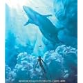 ��6�� DVD COLLECTION Vol.2