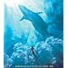 ��6�� DVD COLLECTION Vol.2