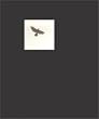 Pajaros Graciela Iturbide