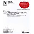 Microsoft Office Professional 2003 Enterprise Edition ���J��