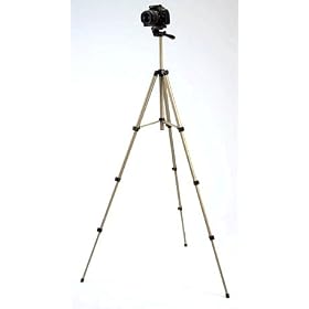 ELECOM �f�W�^���J�����X�^���h DGT-S001SG
