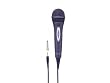 SONY �{�[�J���p�_�C�i�~�b�N�}�C�N���z�� F-V320