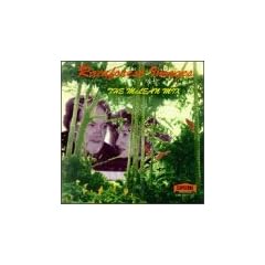 Rainforest Images