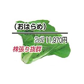 �匴��[�ؗ�]�y�^�l�z20ml