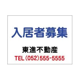 �s���Y�Ŕ� �m�����ҕ�W�n �T�C��W45������60����