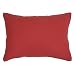 �����[�i�C�g T�V���c�f�ނ̂��炩�j�b�g�s���P�[�X ���J�o�[ 35�~50cm ���b�h NT3550-13