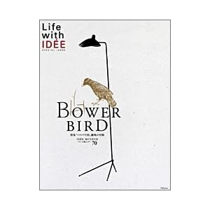Life with IDEE BOWERBIRD 