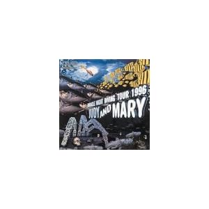 MIRACLE NIGHT DIVING TOUR 1996 [DVD]