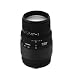 �V�O�} 70-300mm F4-5.6 DG MACRO �j�R���p II