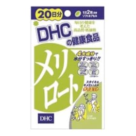 DHC 20�����������[�g