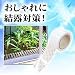 �T�b�V�g���I�h�~!�\�郌�[�X�V�[�� 41863