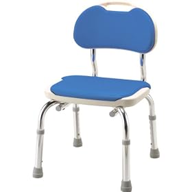 ���� �w�t�V�����[�x���`CPE-N �u���[
