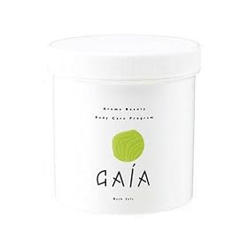 GAiA �o�X�\���g