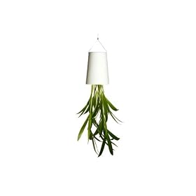 �X�J�C�v�����^�[ �I���W�i�� XS �z���C�g �idesigned by �p�g���b�N �����X�j
