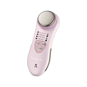 HITACHI �ێ��T�|�[�g�� �n�_�N���G CM-N810-P