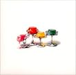 PRINTED JELLY(���W���P�b�g�d�l)