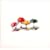 PRINTED JELLY(���W���P�b�g�d�l)