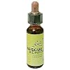 �o�b�`�t�����[�����f�B ���X�L���[10ml