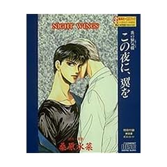 ����凋C�O ���̖�ɁA���� NIGHT WING  �W�p��CD-BOOK