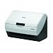 EPSON Offirio �V�[�g�t�B�[�h�X�L���i�[ ES-D200 600dpi CCD�Z���T A4�Ή�