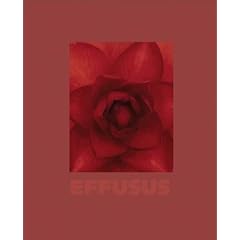 �G�t���[�V�X�uEFFUSUS�v