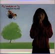 Fly Ladybird fly